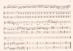 Seite 11 der Komposition von Joseph Kreutzer mit der eigentlich unsingbaren Sopran-Koloratur